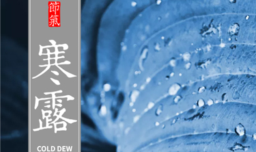 首页- 云顶国际集团官方网站